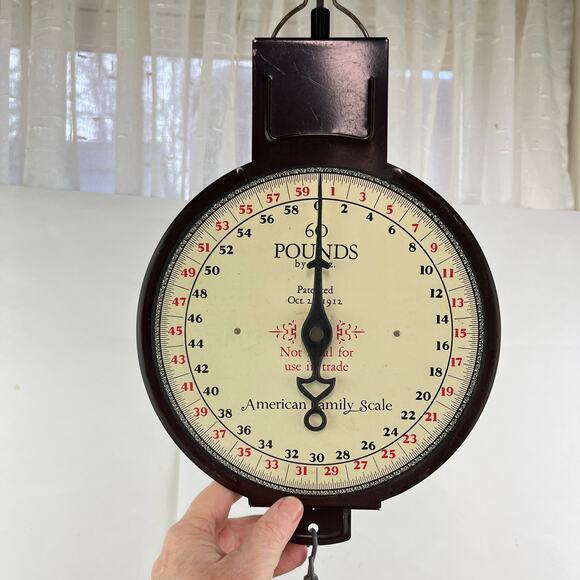 Vintage American Family Scale Company 60 lb Pound Hanging Scale - Picture 1 of 6